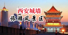 男人用鸡鸡操女人免费网站入口中国陕西-西安城墙旅游风景区